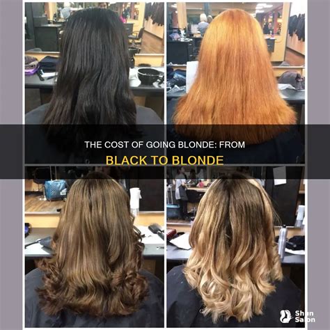 The Cost Of Going Blonde: From Black To Blonde | ShunSalon