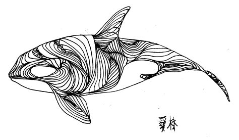52 whale line drawing | Whale drawing, Animal line drawings, Line art ...