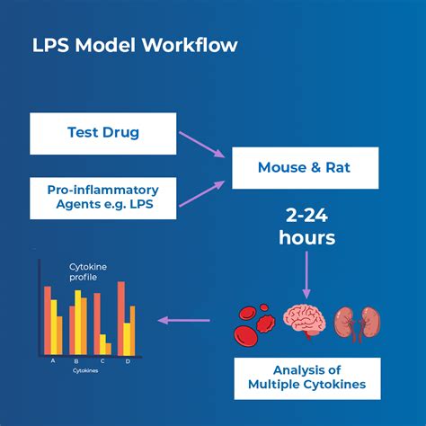 LPS Algorithm 的图像结果