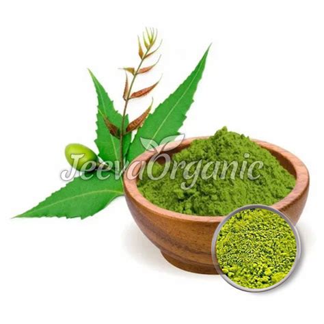 Bulk Neem Leaf Powder (Azadirachta indica) Supplier