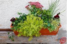 fiori invernali per balconi composizioni floreali per le fioriere invernali fiori invernali per balconi composizioni floreali per le fioriere invernali