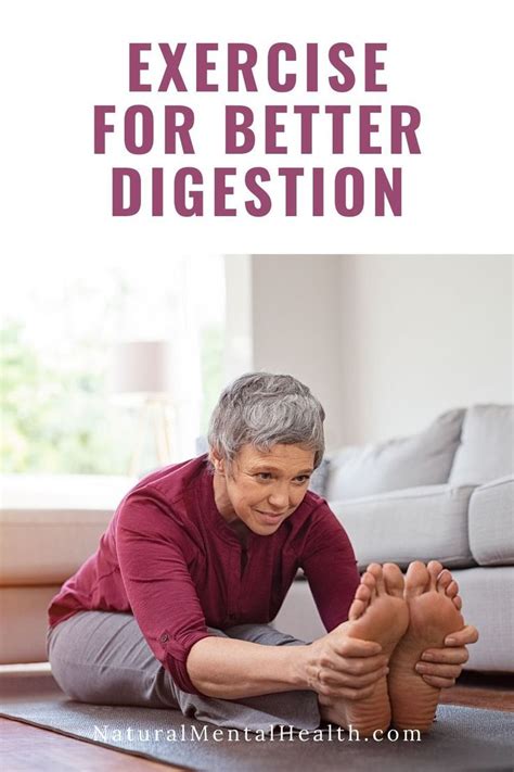 Image result for Digesting Exercise