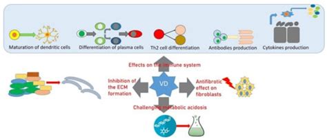 Vitamin D Deficiency, Osteoporosis and Effect on Autoimmune Diseases ...