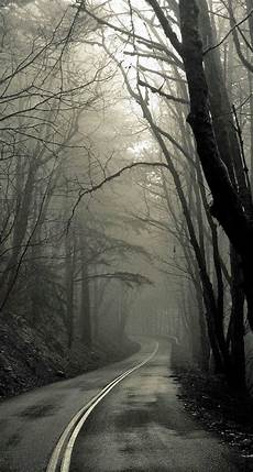Creepy Wallpaper Iphone by Creepy Forest Road Iphone 6 Plus Hd Wallpaper Ipod Creepy Wallpaper Iphone