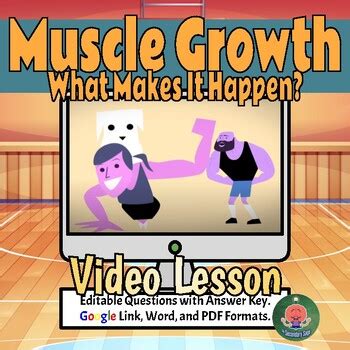 How Muscles Grow Animation 的图像结果