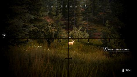 Image result for Hunting Simulator 2 Map