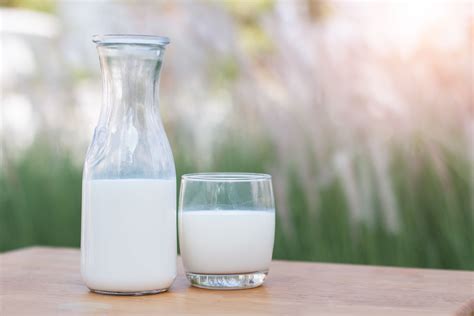 Pros and Cons of Organic Milk vs Regular Milk