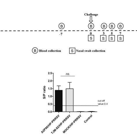Image result for Elisa Protocol Ind Application