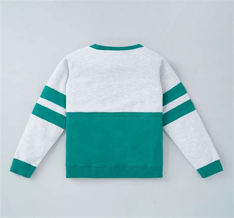 Ed-a-Mamma Sustainable Boys Color Block Sweatshirt