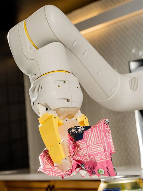 Google AI Robot 的图像结果