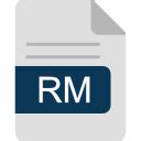 Image result for What Is RM Format