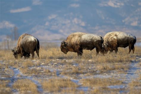 Weld - Individual Arrested in Weld County On Friday, July 26, 2019 at ...