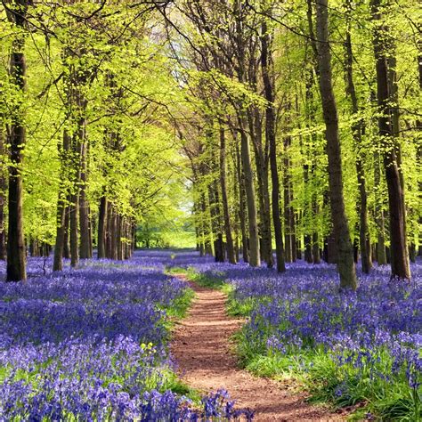 Home | Fellows Funeral Directors