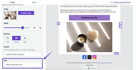 Image result for How to Add File to Email