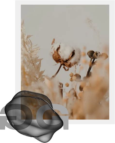 Discover clothing with minimal ecological impact at Primal Gray