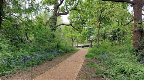 Hounslow Matters Newsletter: Friday, 2 June
