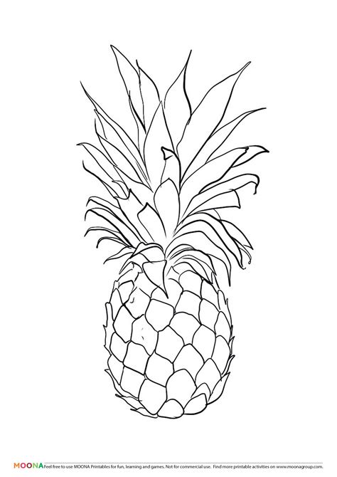Printable Pineapple Coloring Pages