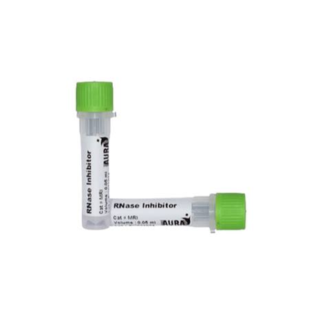 RNase Inhibitor at Best Price, Highly Stable and Efficient