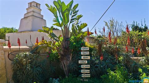 The Local Store Kommetjie Cape Town 的图像结果