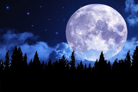 Image result for Moon Pool Tutorial Minecraft