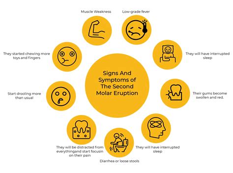 How Long Do 2 Year Molars Take To Come In? - Fremont Pediatric Dental