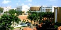 Newton School of Technology Sonepat: Fees, Admission 2026, Courses ...