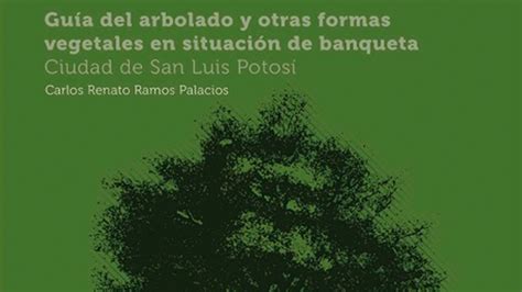 Maestría Interdisciplinaria en Ciudades Sostenibles