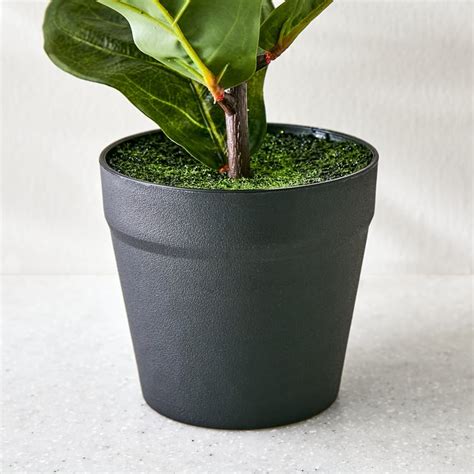 Buy Fiesta Artificial Fiddle Leaf Plant in Pot from Home Centre at just ...