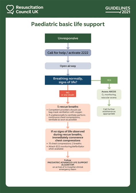 Advanced Trauma Life Support Algorithm 的图像结果