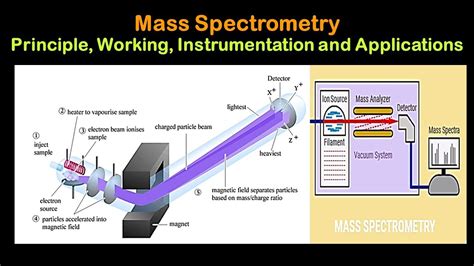 Image result for Mass Spectrometry Graphs Explained