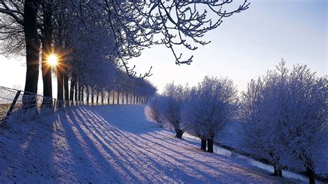 [100+] Winter Zoom Backgrounds | Wallpapers.com