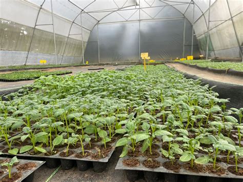 Photo Gallery | Bio Resources Development Centre (BRDC), Meghalaya