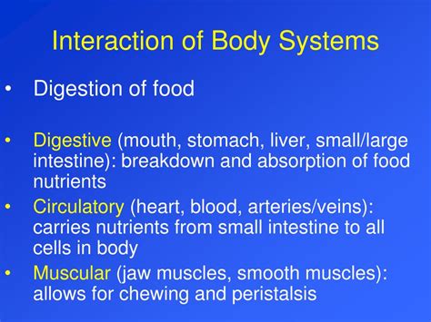 Body System Interaction Chart 的图像结果