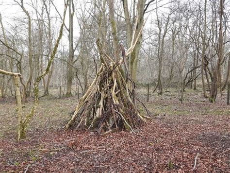 Rezultat imagine pentru Direct Object Using Us and We