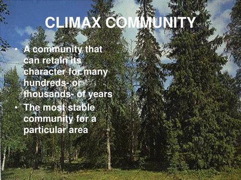 Image result for Example of Succession