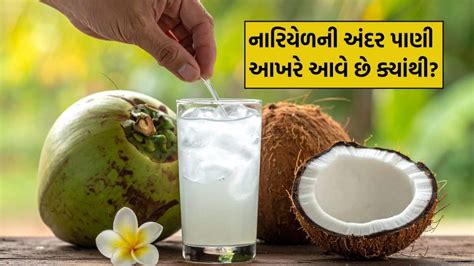 Benefits of Coconut Water: નારિયેળની અંદર પાણી ક્યાંથી આવે છે? જવાબ ...