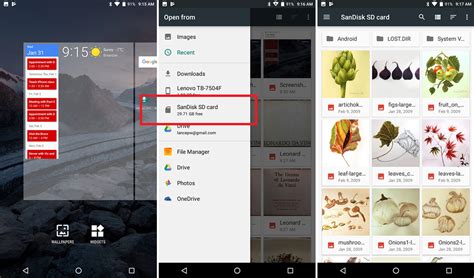 Export Pics 的图像结果