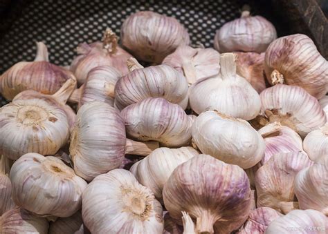“大蒜是个宝，一生少不了”，4种大蒜家常做法，学会做给家人吃 ＊ 阿波罗新闻网
