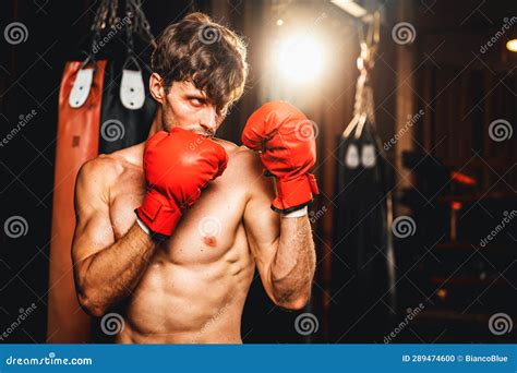 Boxing Defensive Stance 的图像结果