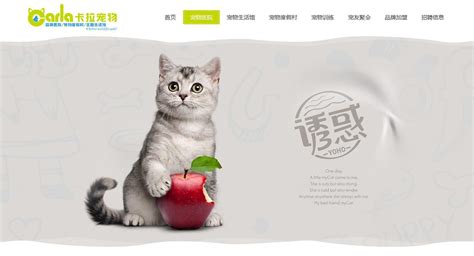 【签约】深圳市卡拉宠物医院品牌网站建设项目 - 方维网络