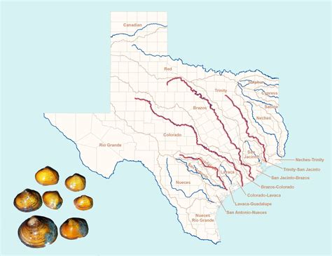 River Map Of Texas - Map Of Rose Bowl