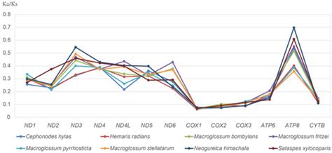 Insects | Special Issue : Systematics, Ecology and Evolution of Lepidoptera