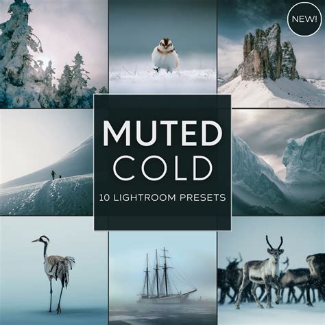 Muted Cold LIMITED Lightroom Presets Pack – Woodland Presets