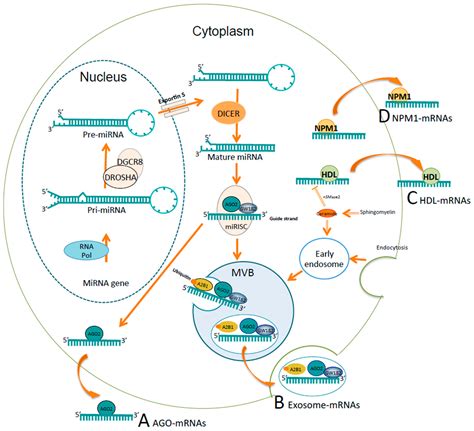 Image result for Input Lag Test