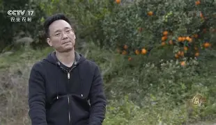 致富经龙晓峰(致富经20130424) 致富经龙晓峰(致富经20130424)