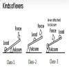 2. Explain lever and its types with examples. - Brainly.in