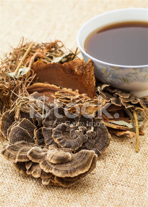 Chinese Herbal Medicine 的图像结果