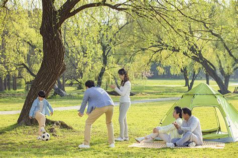 快乐的一家五口在草地上玩耍高清图片下载-正版图片501744408-摄图网