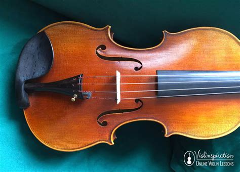 Image result for String Instruments Viola Violin