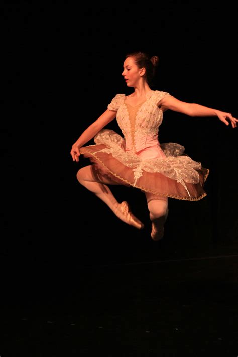 41％割引FREE SIZE【日本限定モデル】 pas de chat シャツ/ブラウス(七分/長袖) トップスFREE SIZE-OTA ...